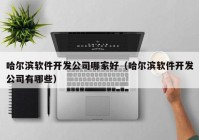 哈尔滨软件开发公司哪家好（哈尔滨软件开发公司有哪些）