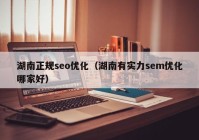 湖南正规seo优化（湖南有实力sem优化哪家好）