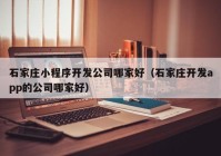 石家庄小程序开发公司哪家好（石家庄开发app的公司哪家好）