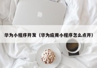 华为小程序开发（华为应用小程序怎么点开）